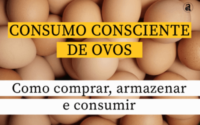 Como escolher, armazenar e consumir ovos de forma consciente